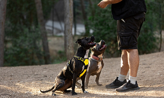 Community & Socialization